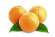 Oranges and leafs Oranges and leafs