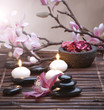 Spa Spa