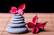 Potpourri arranged zen style