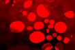 Blut
