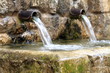 Jets of a spring Borosa river Jaen Spain Jets of a spring Borosa river Jaen Spain