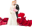 bride and groom with rose petals