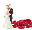 bride and groom with rose petals
