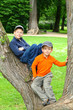 Boys in a Tree