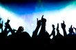 Jubelnde Konzertbesucher auf Rock-Konzert