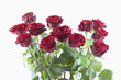 Foto: zwölf rote Rosen zwölf rote Rosen