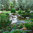 Spring flowers in the Asian garden Spring flowers in the Asian garden