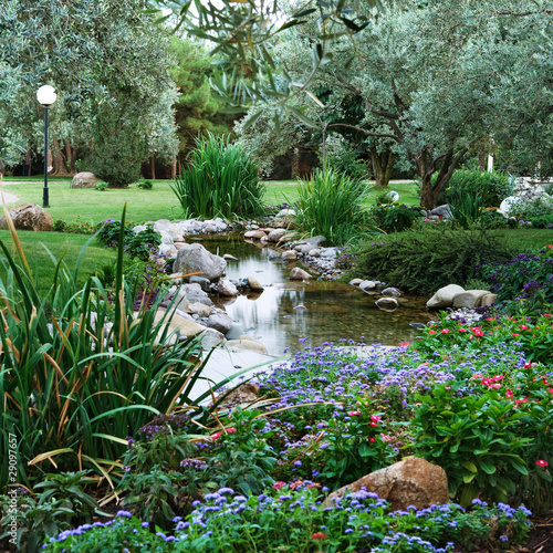 Photo: Spring flowers in the Asian garden Spring flowers in the Asian garden