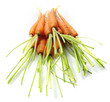 Carottes et fannes