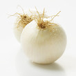 Petits oignons blancs