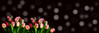 Tulpen mit Retromuster