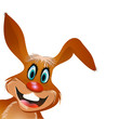 hase toon