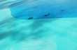 mer,ocean,eau,chaud,vacance