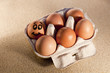egg,ei,ostern,paques,fête