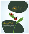 cute illustration with two ladybugs climbing a traxacum cute illustration with two ladybugs climbing a traxacum