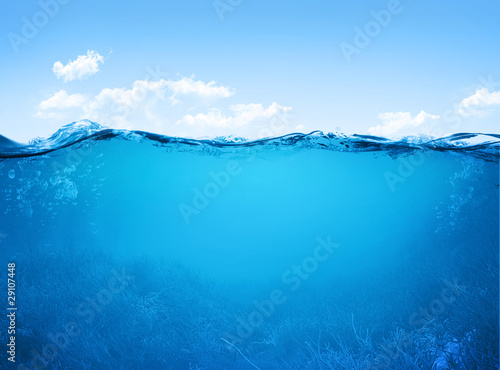 Photo: underwater scene underwater scene