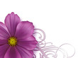 Florales Design mit violetter Blüte