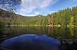 Foto: Naturschutzgebiet Großer Arbersee Naturschutzgebiet Großer Arbersee