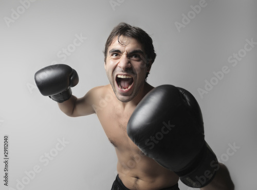 Photo: Boxer Boxer