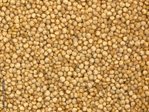 Photo: Quinoa Quinoa