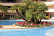 piscine et décoration