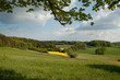 Ökolandschaft mit großer Wiese