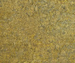 Cobbled Highly Textured Abstract Background Cobbled Highly Textured Abstract Background