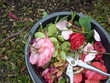 Rosenschnitt