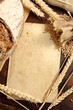 Piece of old paper with wheat ears background. Shallow DOF