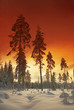 Burning Sky