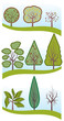 Alberi vari foglie