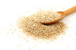 Quinoa seeds