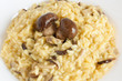 risotto with mushrooms closeup - risotto ai funghi porcini risotto with mushrooms closeup - risotto ai funghi porcini