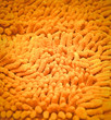 golden texture