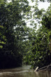 Amazon River