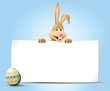 bunny behind banner with egg jpeg bunny behind banner with egg jpeg
