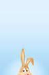 bunny at bottom jpeg bunny at bottom jpeg