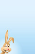 bunny at bottom left jpeg bunny at bottom left jpeg