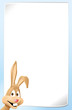 bunny at bottom left with banner jpeg bunny at bottom left with banner jpeg