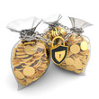 Money protection