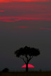 African sunset
