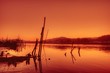 Calido atardecer