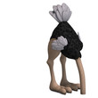 cute toon ostrich gives so much fun. 3D rendering with clipping
