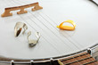 Banjo and Finger Picks