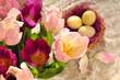 Tulpen zur Osterzeit