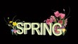 spring flowers - rgb + alpha for overlay on any background