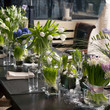 Photo: romantic party. Valentine's day romantic party. Valentine's day
