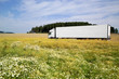 LKW Wiese weiss