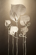 Heart hangs on a cord