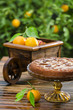A beautiful orange cake decorated with wheelbarrow A beautiful orange cake decorated with wheelbarrow